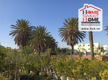 à Vendre Terrain "Albury" à La Soukra