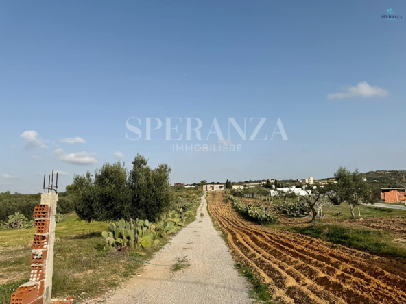 à Vendre un terrain de 400 m² à Hammamet